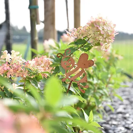 度假居 La Ruchette Anthee